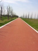園林景觀(guān)道路-彩色透水地坪